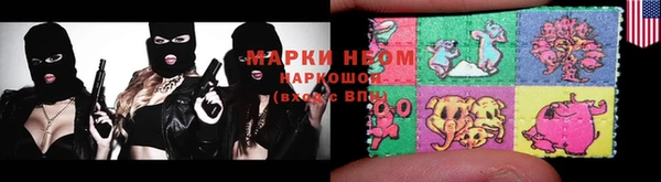 ГАЛЛЮЦИНОГЕННЫЕ ГРИБЫ Баксан